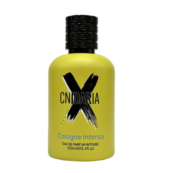 CNIDARIA2