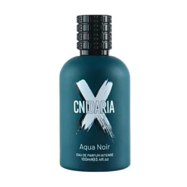 CNIDARIA7