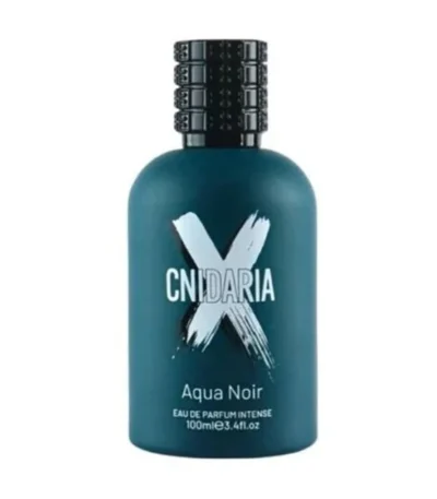 Samam Aqua Noir perfume in Kuwait