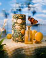 LUEURD-ESPOIR-MEMORIES-OF-SUMMER