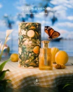 LUEURD ESPOIR MEMORIES OF SUMMER