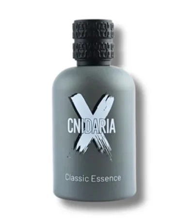 Samam Cnidaria X Classic Essence