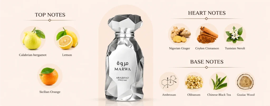 Marwa Fragrance Notes