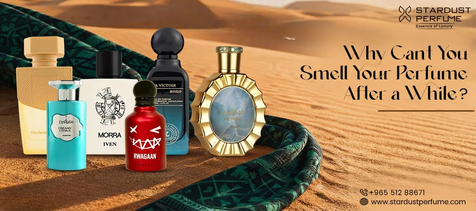 unisex perfume longevity