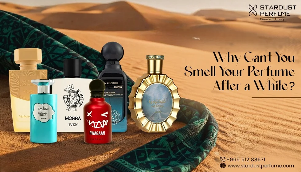 unisex perfume longevity